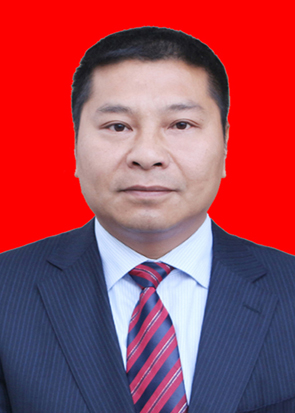 夷陵区委常委、龙泉镇党委书记：秦玉龙