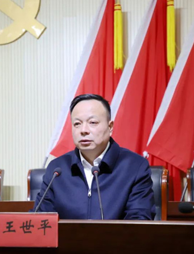 东台镇党委书记：王世平